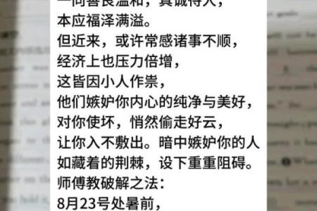 91年5月的羊是什么命看完个你就懂了