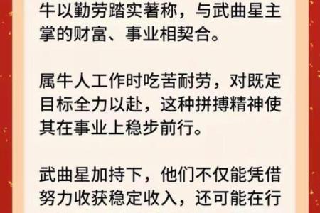 风华正茂打一生肖是什么动物 风华正茂对应的生肖是哪个