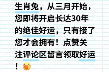 下一个兔年具体是哪一年，需要从哪一天开始算起？
