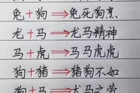 零七碎八是什么生肖 零七碎八打一生肖答案