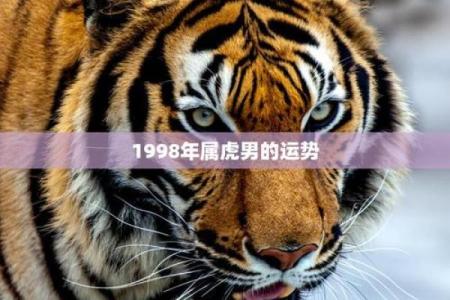 1998年出生属虎人姻缘运势解析及适婚时间建议
