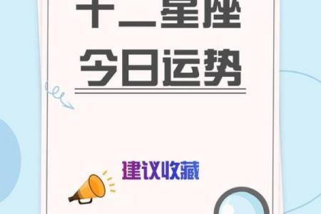 2013年个人星座运势全面解析，爱情事业健康财运详细预测分析