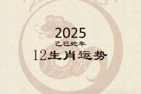 1969年属鸡男2025年全年运势详解及每月运程完整版