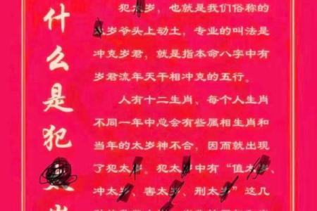 88年出生属龙者2025年每月运程预测：如何化解太岁影响提升运势
