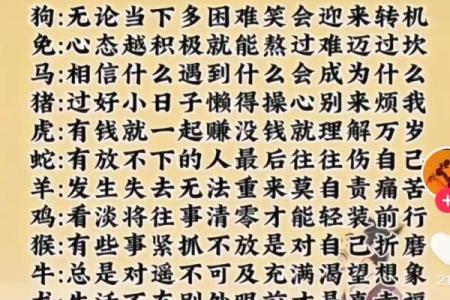 雨过天晴出太阳”打一正确的生肖 雨过天晴出太阳生肖谜底