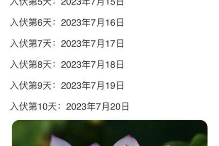 2021年入伏具体是几月几号几点几分开始计算？