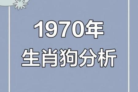 2006年属狗的男孩一生学业和事业运势详解