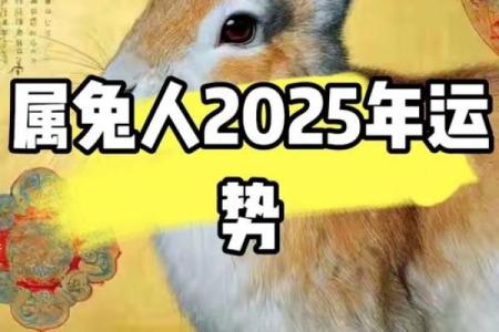 1987年兔子2025年搬家吉日(87年兔2025年运势及运程每月运程)