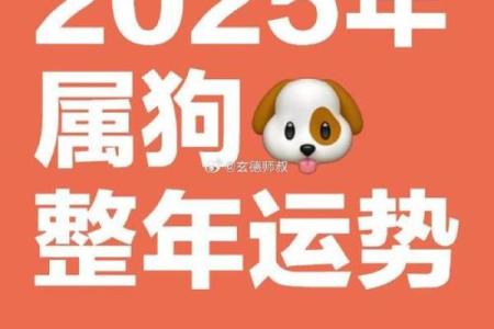 2025年属狗男全年每月运势如何？需要注意哪些重要事项和禁忌？