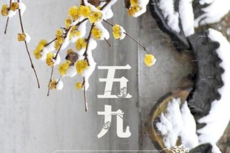 如何准确查询2021年四九寒天的当前第几日