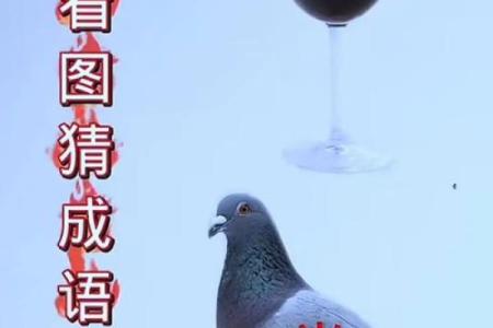 面黄肌瘦打一动物 面黄肌瘦谜语动物答案