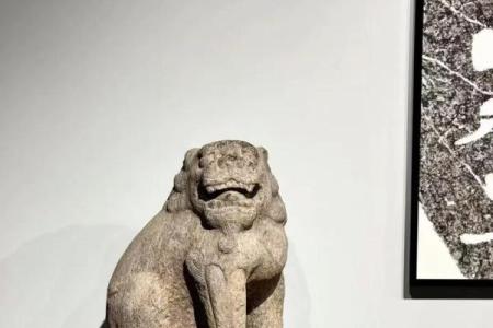 铜筋铁骨”打一动物生肖 铜筋铁骨代表哪个生肖