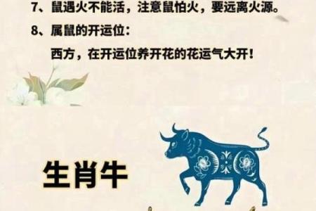 龙肝凤髓指什么生肖 龙肝凤髓打一生肖答案