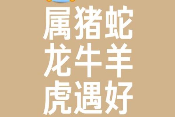 龙争虎斗是什么生肖 龙争虎斗打一生肖