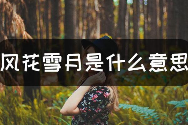 风花雪月是什么生肖 风花雪月对应生肖查询