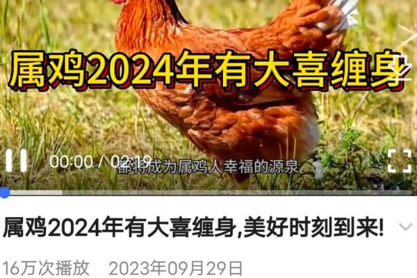 1981年出生的属鸡者2026年财运和事业运势如何，需要注意什么