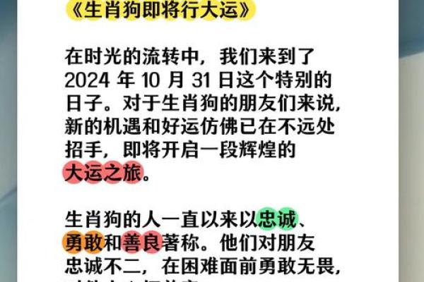 属狗的人2025年全年运势详解，财运事业健康感情完整解析