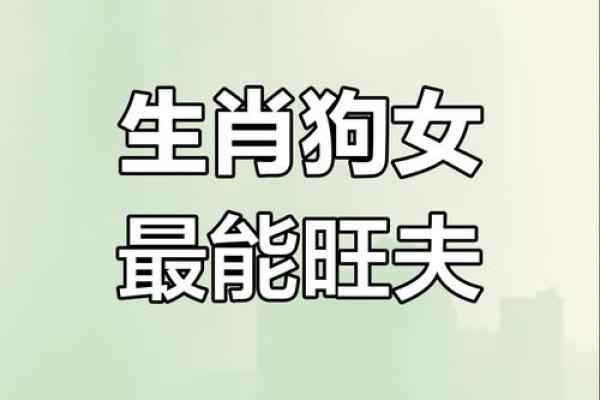 长得漂亮还旺夫的3大生肖女 最旺夫的三大生肖女是谁