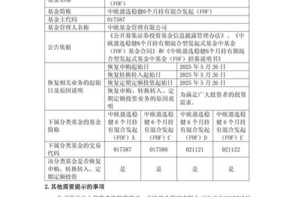 万润新能发行市盈率是否过高？最新估值分析与申购风险提示