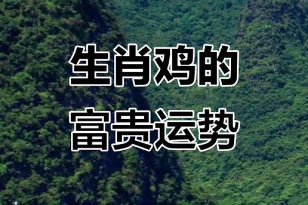 2025年属鸡的女性运势如何？1993年出生者事业财运健康详解