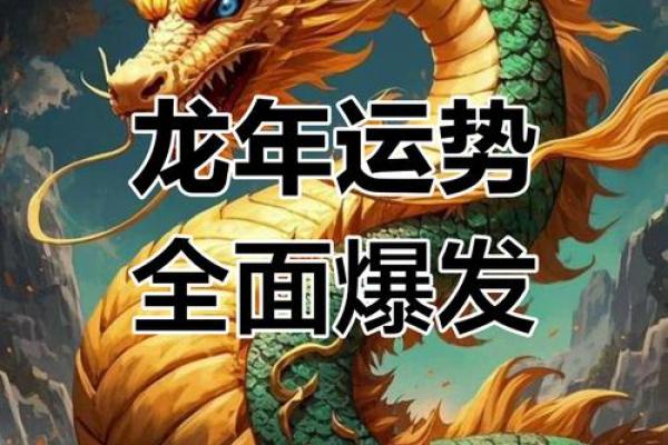 属龙人在2025年如何有效利用四大贵人的助力来提升事业和财运？