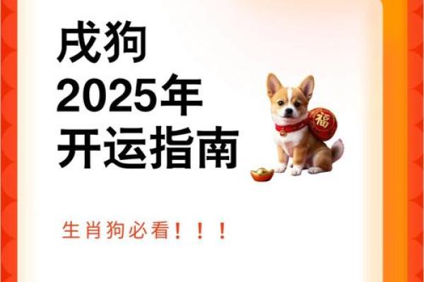 2025年属狗人财运如何？事业运势会有转机吗？