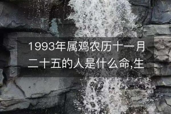 1993年正月初一出生生肖属鸡还是属猴？农历新年交界解析