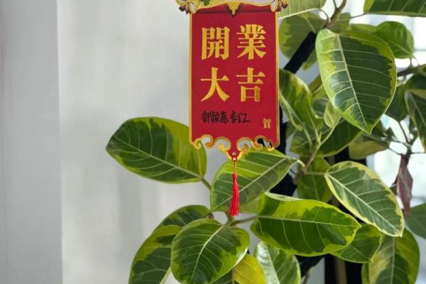 想了解2026年12月开业的良辰吉日如何选择以及有哪些重要禁忌？