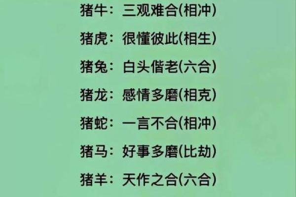 鸡犬相闻猪有来”打一个生肖动物 生肖谜语鸡犬相闻猪有来答案