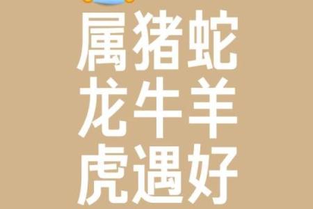 龙争虎斗是什么生肖 龙争虎斗打一生肖