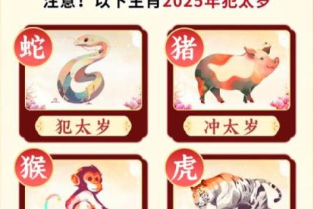 重整旗鼓是什么生肖 重整旗鼓对应哪个动物生肖