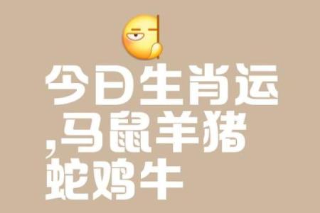风口浪尖打一个生肖 风口浪尖指什么生肖