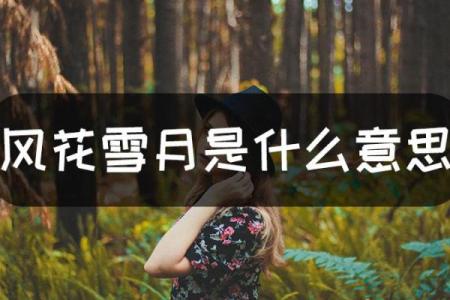 风花雪月是什么生肖 风花雪月对应生肖查询