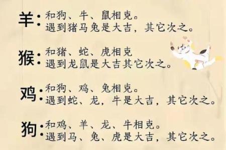 门庭若市打一生肖 门庭若市指什么生肖动物