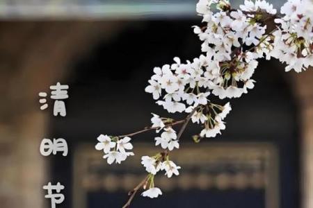 7月15日上坟是提前好还是推后好，有什么讲究和忌讳？
