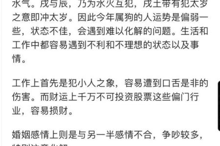 82年出生的属狗女在2025年感情婚姻运势如何？有哪些需要注意的坎？