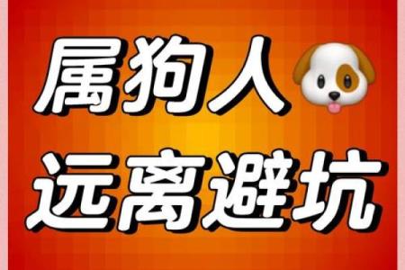 属狗的人和属虎的人结婚会幸福吗？婚姻配对情况解析
