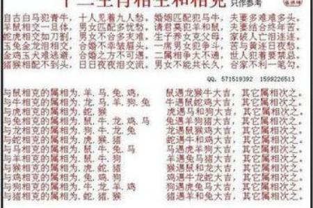 生肖狗婚姻运势解析：是否真的会经历两次婚姻才能幸福？