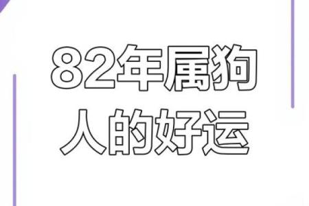 1982年属狗的人几月份出生运势较差需注意？