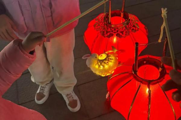 雨打灯笼打一个生肖 雨打灯笼猜生肖谜底