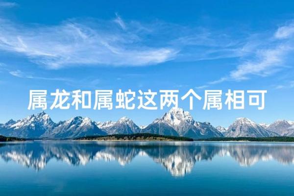 1993年属鸡的最佳婚配属相是哪些，和属龙属蛇的配对指数高吗？
