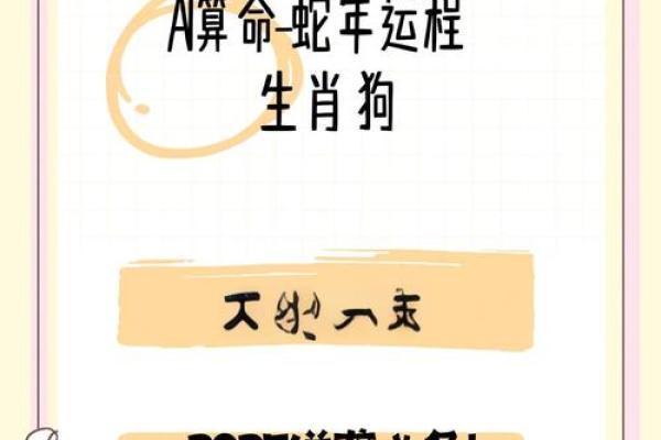 1982年属狗的人2025年全年运势详解及每月运程完整版