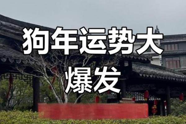 1982年属狗2025年每月运势完整版财运健康事业分析