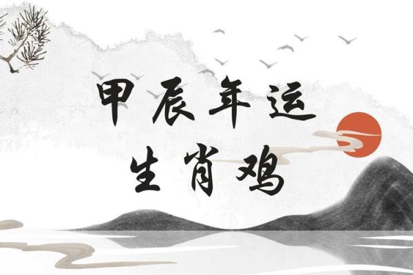 属鸡人2024年每月运势详解及财运健康感情全面解析