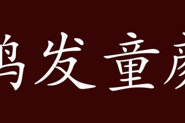 鹤发童颜指什么生肖 鹤发童颜打一生肖答案