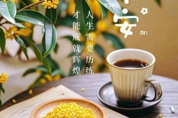 1982年出生的属狗人如何平安度过中年时期的人生大劫？