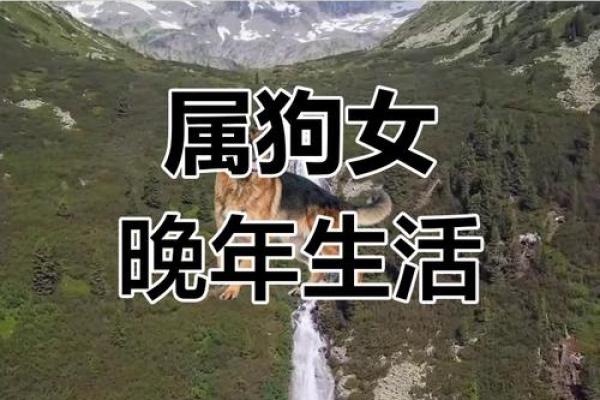 1970年属狗女性2025年运势详解及每月运程完整版分析