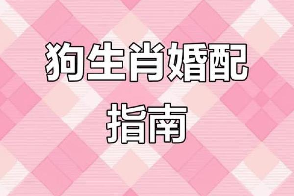 根据生肖配对，属狗者的贵人属相有哪些，婚姻事业如何选择？