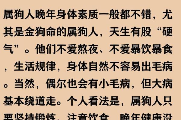 1970年属狗人2025年运势详解，全年财运事业健康完整解析