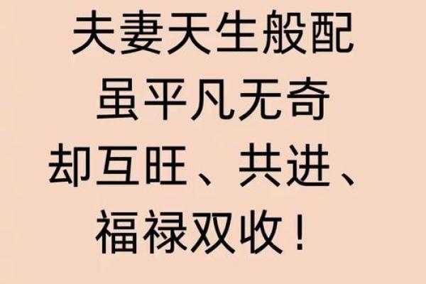风雨无阻什么生肖 风雨无阻打一生肖